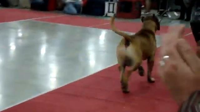 Евразия-2-2012-Рон смотреть онлайн