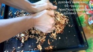 Приправа из овощей/Сушка в духовке/ЗАЧЕМ ПОКУПАТЬ ЕСЛИ МОЖНО СДЕЛАТЬ САМИМ