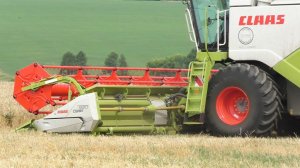 Дружным строем на уборке пшеницы!