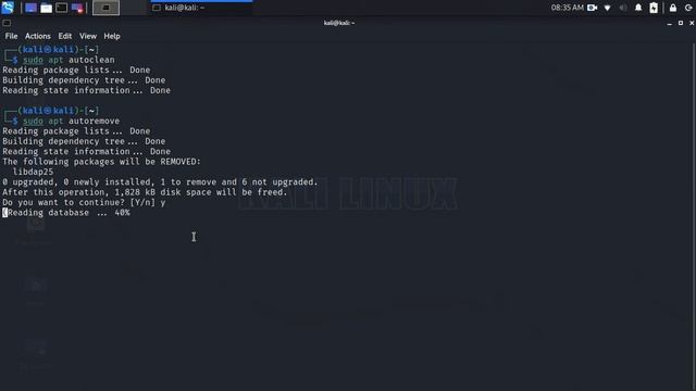 Cancella Cache di Kali Linux con il Terminale смотреть онлайн