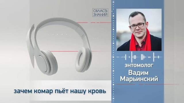 Зачем комары пьют нашу кровь? Лекция энтомолога Вадима Марьинского смотреть онлайн