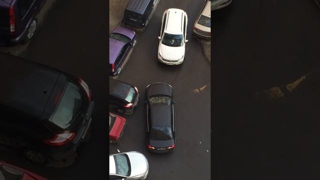 Зарули, дура!!! Полная версия!!!