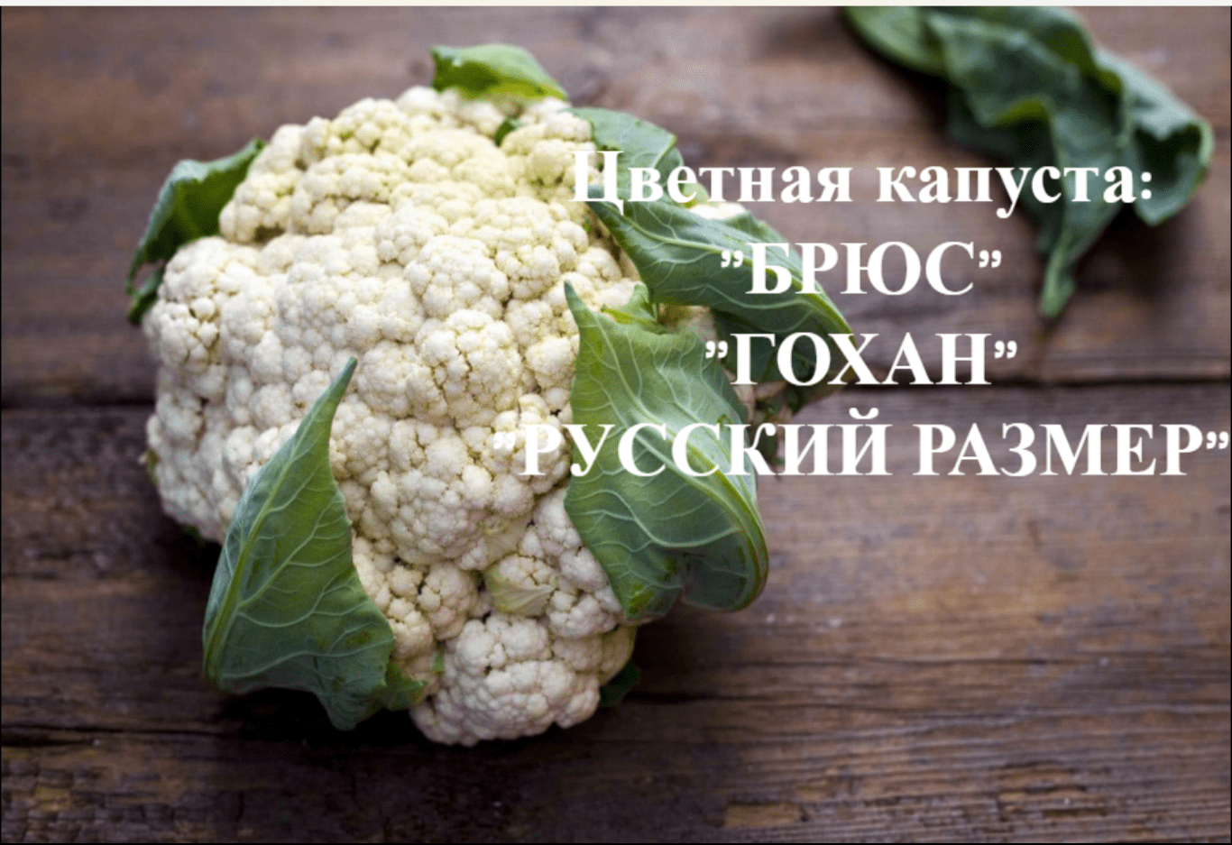 Как сажать цветную капусту.Сорта:"Брюс", "Гохан","Русский размер" смотреть онлайн