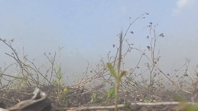 Успешный полёт прототипа ракеты УРАН 1Т с камерой на борту! смотреть онлайн