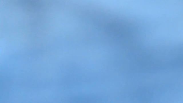 ЧТО ДЕЛАТЬ, ЕСЛИ ВАС УКУСИЛ ПАУК?/ НАУЧНО ДОКАЗАННЫЕ ФАКТЫ смотреть онлайн