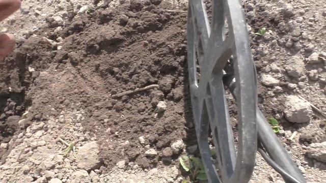 НАХОДКИ ВСЕГДА БУДУТ С ЭТОЙ КАТУШКОЙ!!!!РАСПАШКА СТАРИННОГО МЕСТА!!! КОПАЕМ С GARRETT APEX!!! смотреть онлайн