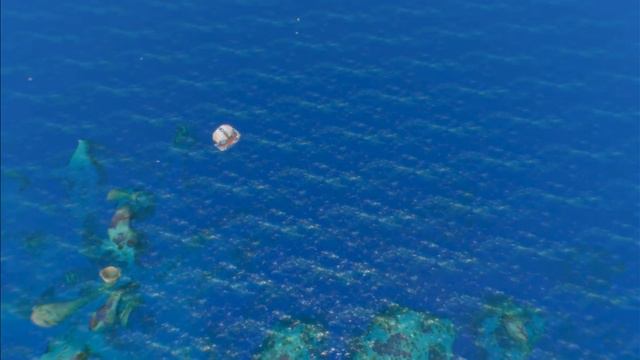 Топ 5 бесплатных игр в стиме! #2 смотреть онлайн