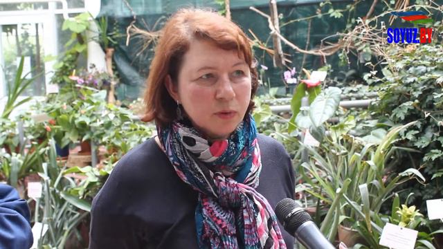 О Международном проекте "Сирень Победы" смотреть онлайн