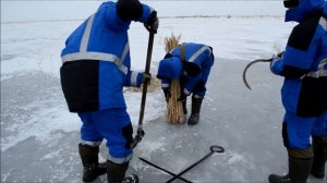 Дедовский способ зимней аэрации пруда с помощью камыша №1