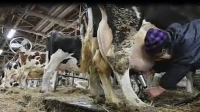 Профессия фермер. Развитие и обучение - урок 9 смотреть онлайн