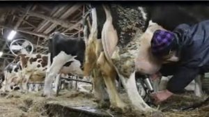 Профессия фермер. Развитие и обучение - урок 9