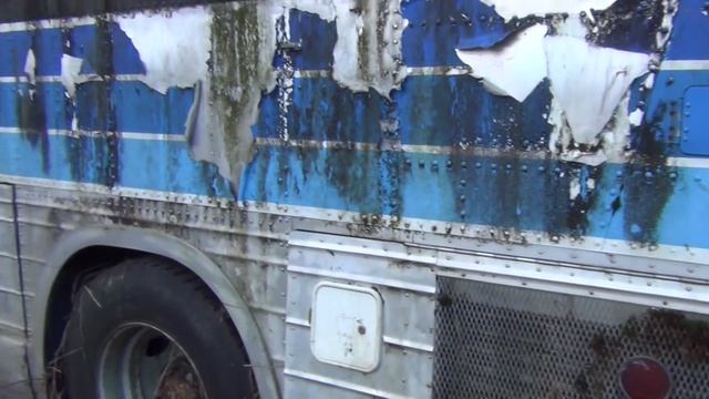 Dirty cheap Buffalo Bus with an 8v71 and a mystery COE Ford F600, One of these boys is coming home! смотреть онлайн