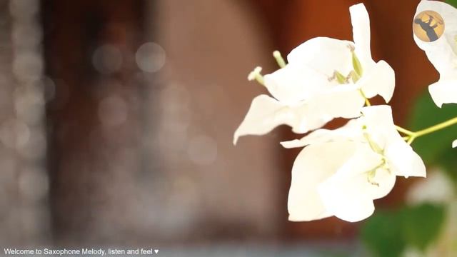 Saxophone - Greatest 100 Relaxing Beautiful Love Songs 70's 80's 90's смотреть онлайн