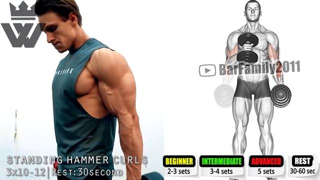 Arm Workout Biceps & Triceps Mass Building