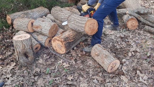 Homelite 3314 cutting elm tree смотреть онлайн