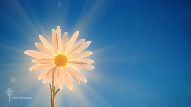 Настрой на энергию и силу жизни ☀ Восстановление сил ☀ Омоложение смотреть онлайн