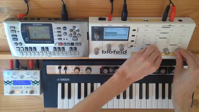 Polar Orbit - A Live Synth Jam (Blofeld, reface CP, Specular Tempus) смотреть онлайн