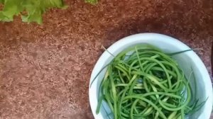 Жарим чесночные стрелки с яйцом Необыкновенно вкусно и полезно