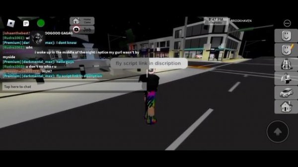 roblox fly script delta executor works any games