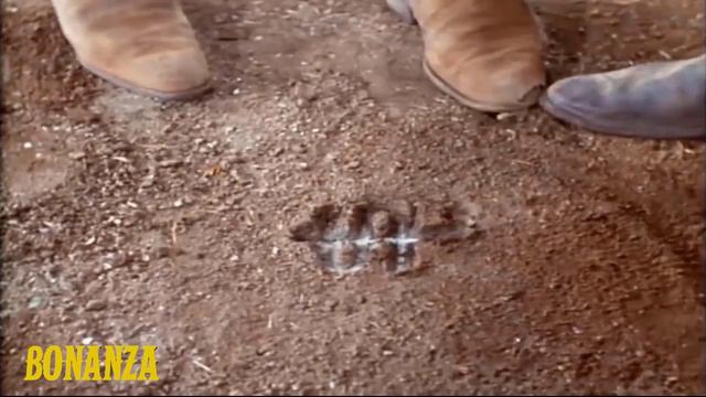 Bonanza - El Desvalido - Temporada 6 Capítulo 12 (Episodio Completo En Español Latino)