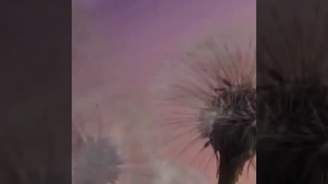 Единство души и разума открывает новое и создает шедевры смотреть онлайн