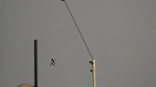 Взаимодействие диэлектрика с заряженной палочкой смотреть онлайн