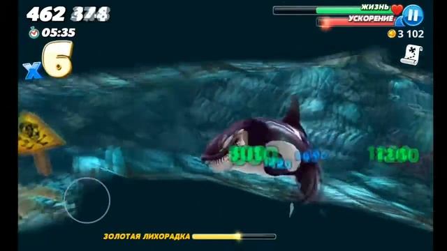 Hungry Shark World (голодная акула) косатка смотреть онлайн