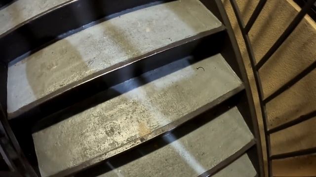 Ужасный номер в отеле и аллигаторы на улице в штате Луизиана. смотреть онлайн