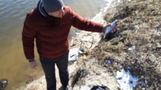 Рыбалка на Десне в марте апреле весной под Киевом Осещина Хотяновка Погребы Зазимье донка фидер 202 смотреть онлайн