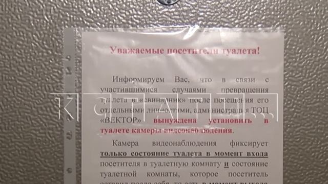 Конституционные права граждан грубейшим образом нарушают в общественном туалете в Павлове