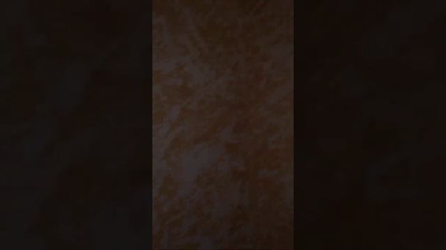 декоративная штукатурка в коридоре