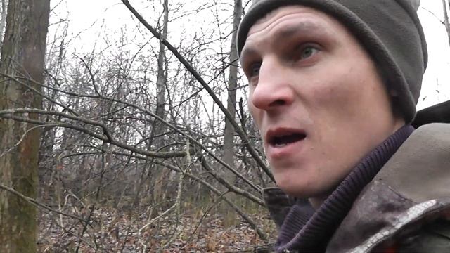 Охота на кабана и косулю в Чишминском районе РБ. смотреть онлайн