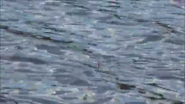 Ловля уклейки в Жостово