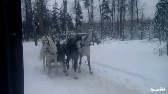 Московская область. смотреть онлайн
