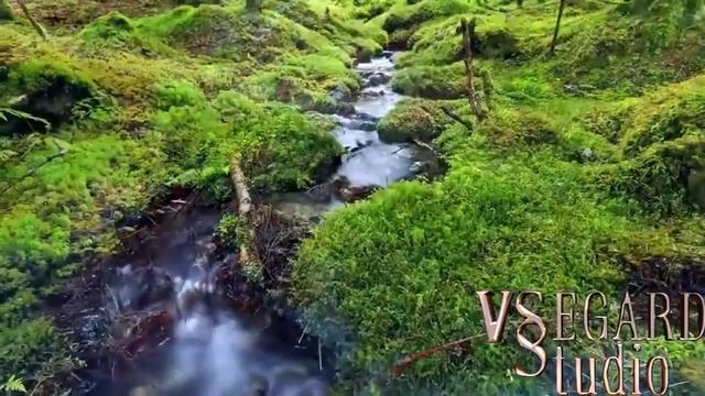 Сверкание камней (Медитация) смотреть онлайн