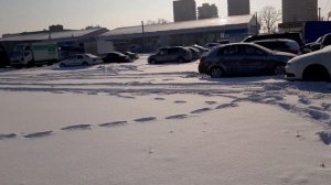 Покупка машины с аукциона банка, личный опыт