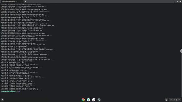 How to install CudaText on a Chromebook смотреть онлайн