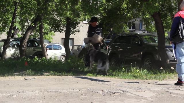 Ладожский Страж Валкирия 2 смотреть онлайн