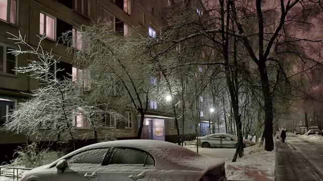 Таня и Дик 5 Никто не смеет обижать мою собаку!   #лабрадор #собака