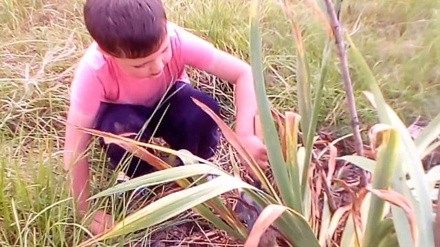 Егор с бабушкой на даче, сажают и поливают смотреть онлайн
