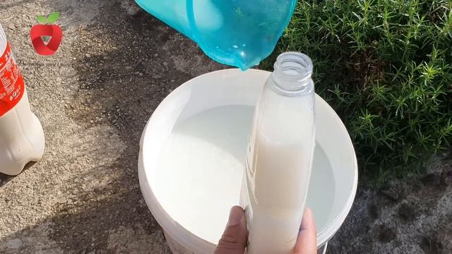 Može li se mlijeko koristiti kao zaštita i prihrana za vaše biljke?? смотреть онлайн