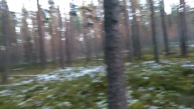 Холодно в лесу смотреть онлайн