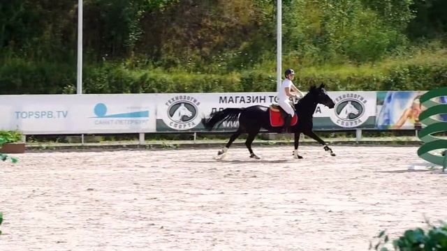 Альфа Ориона. Конкур. Чемпионат Спб. смотреть онлайн