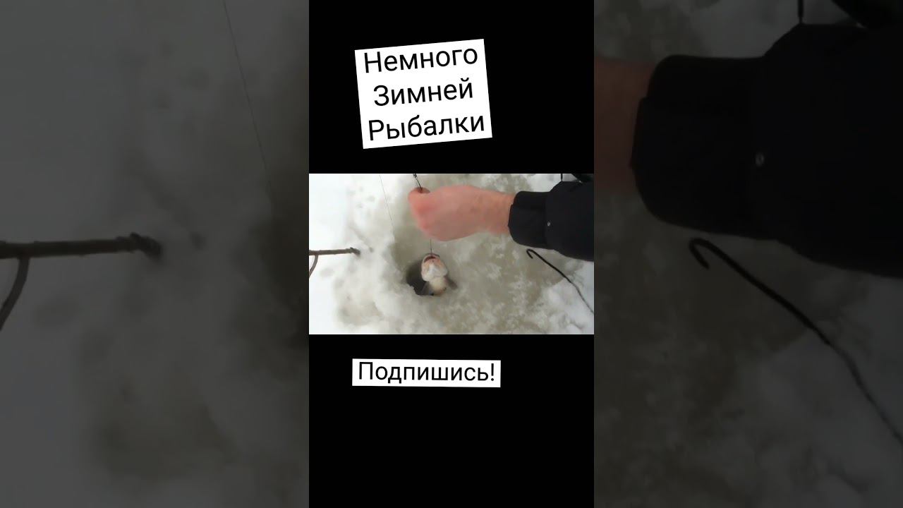 Немного зимней рыбалки смотреть онлайн