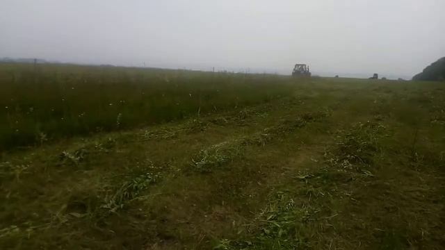 Мтз 82. Два трактора косят сено смотреть онлайн