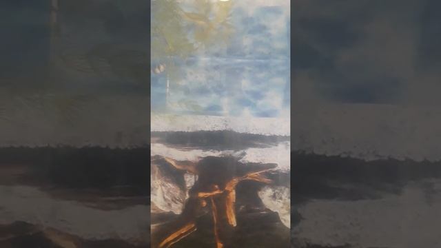 Барбусы самые неприхотливые рыбки в аквариуме смотреть онлайн