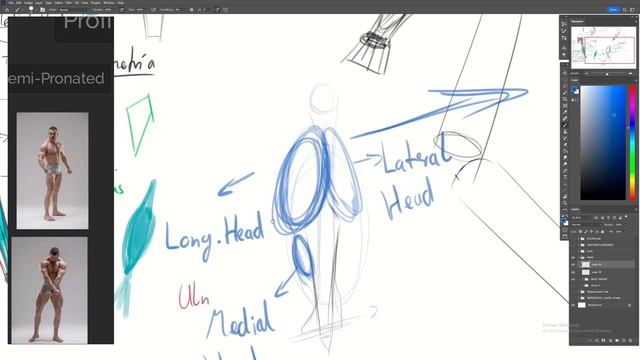 Como dibujar la FIGURA HUMANA Parte 5 | Musculos del Brazo | Anatomia Artistica смотреть онлайн
