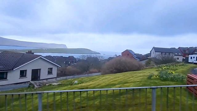 Жизнь в Шотландии. Шетландские острова