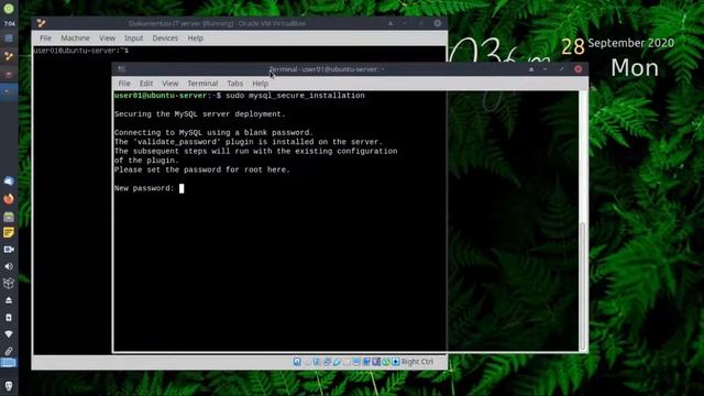 Install Mysql Ubuntu Server смотреть онлайн
