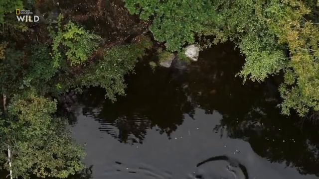 Дикая Скандинавия (Загадочные воды) смотреть онлайн